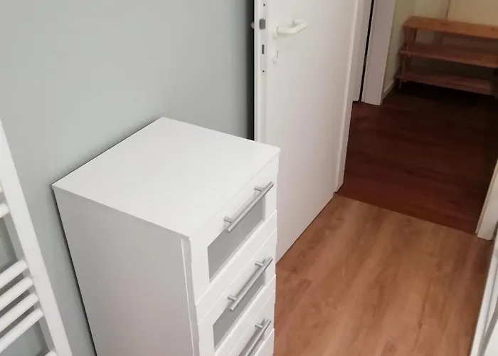 Fox * Böhl